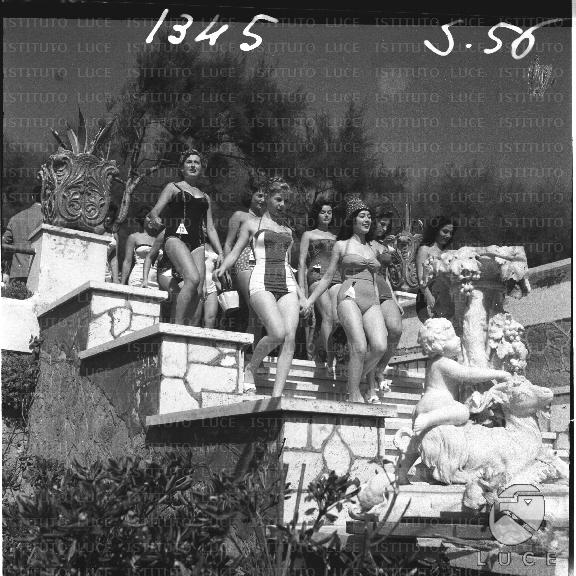 FV/NTH00162/FV00036240.JPG
