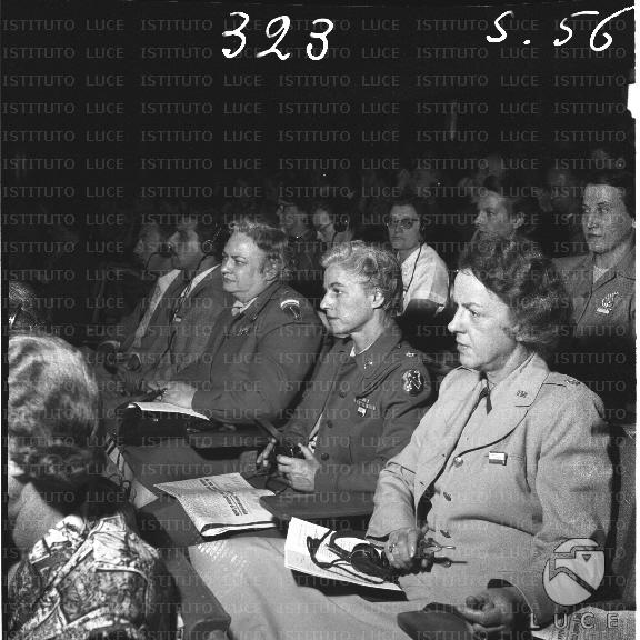 FV/NTH00163/FV00035641.JPG