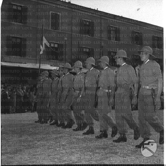 FV/NTH00172/FV00037360.JPG