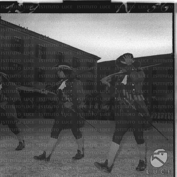FV/NTH00172/FV00037381.JPG