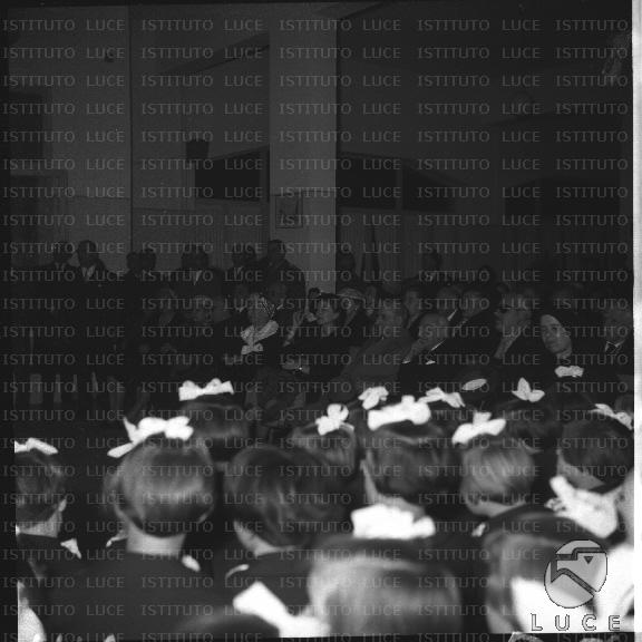 FV/NTH00183/FV00039766.JPG
