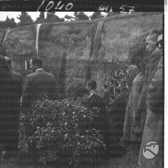 FV/NTH00203/FV00044441.JPG