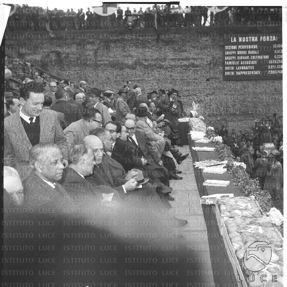 FV/NTH00206/FV00044944.JPG