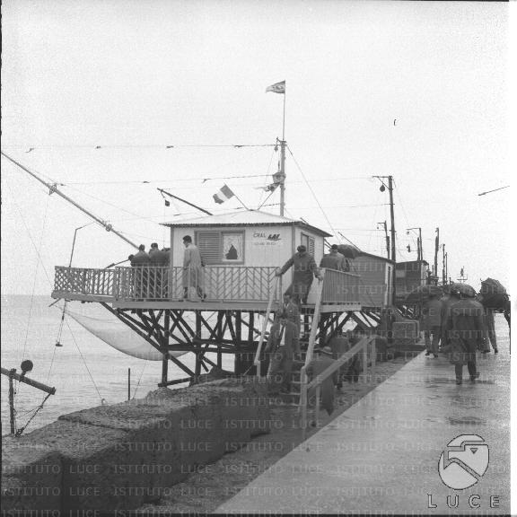 FV/NTH00207/FV00045251.JPG