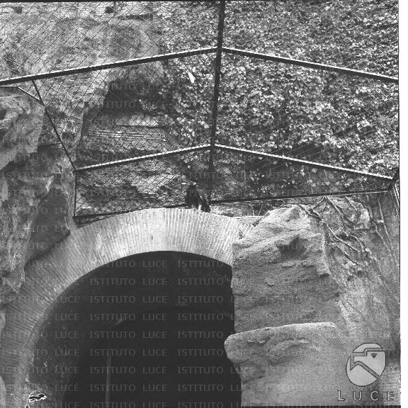 FV/NTH00208/FV00045475.JPG