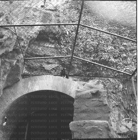 FV/NTH00208/FV00045479.JPG
