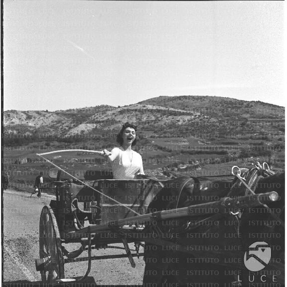 FV/NTH00208/FV00045594.JPG