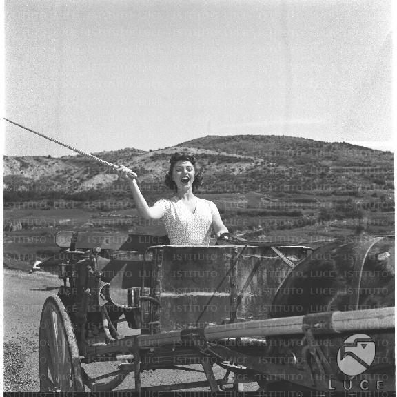 FV/NTH00209/FV00045670.JPG