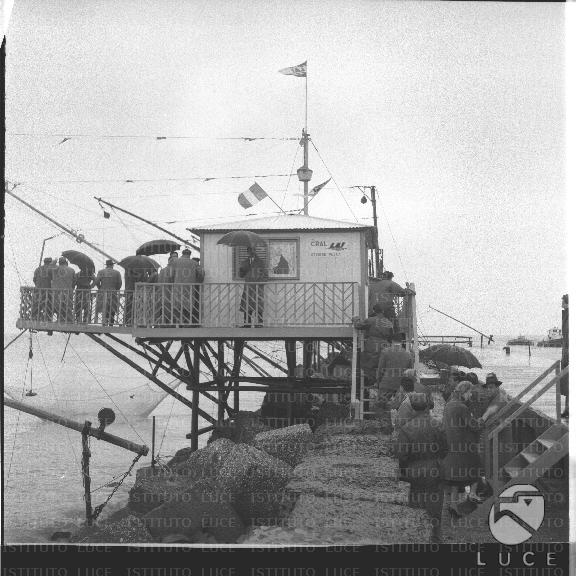 FV/NTH00210/FV00045257.JPG