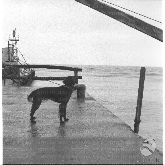 FV/NTH00210/FV00045289.JPG