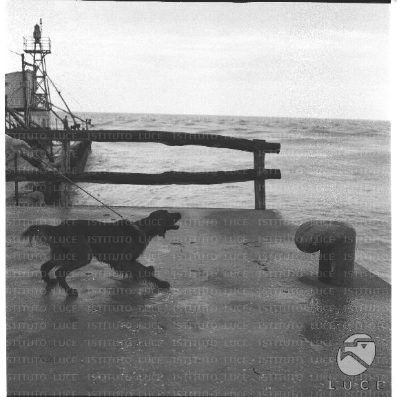 FV/NTH00210/FV00045294.JPG