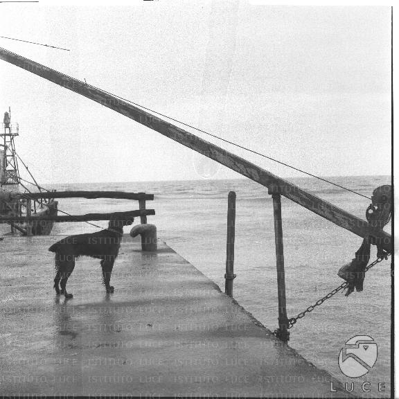 FV/NTH00210/FV00045302.JPG