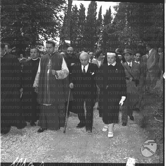 FV/NTH00217/FV00047490.JPG