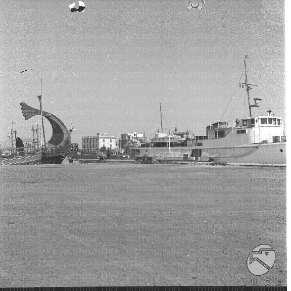 FV/NTH00224/FV00048982.JPG