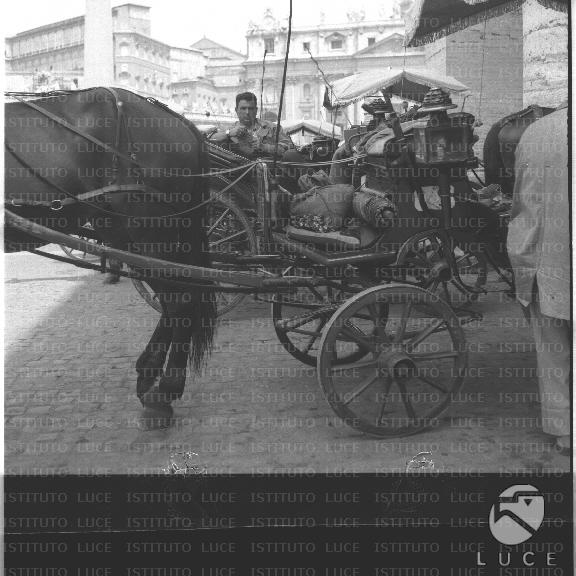 FV/NTH00230/FV00050193.JPG