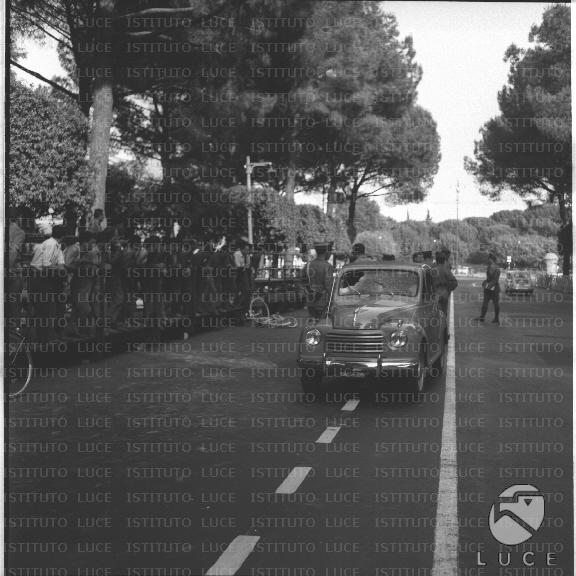 FV/NTH00230/FV00050251.JPG