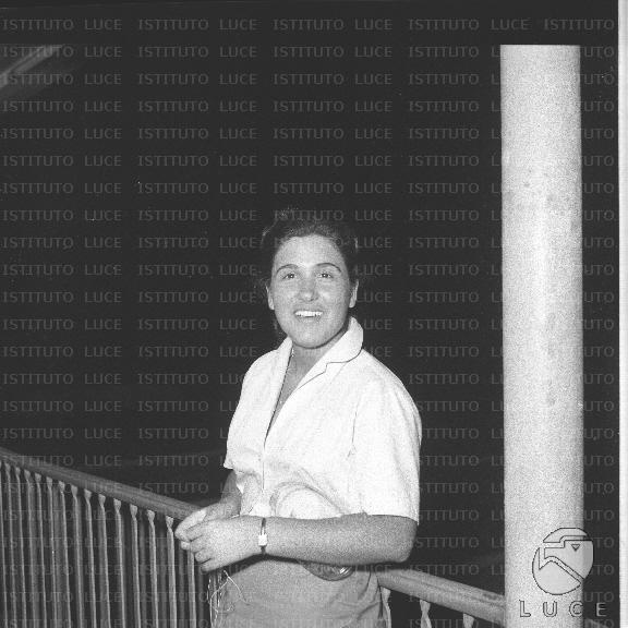 FV/NTH00230/FV00050384.JPG