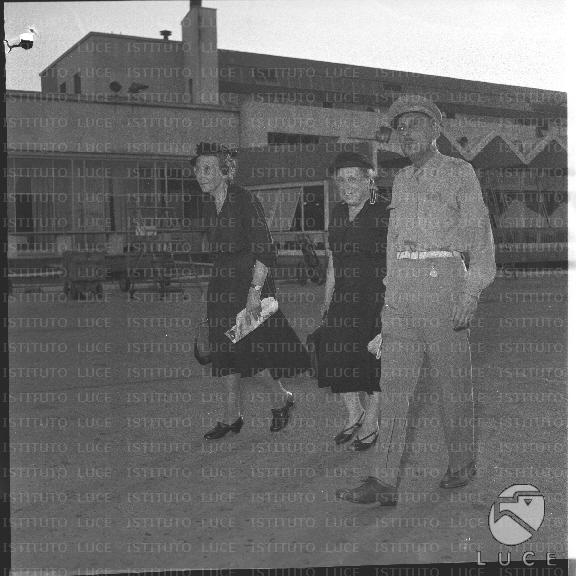 FV/NTH00230/FV00050402.JPG