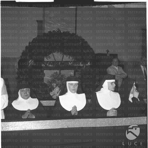 FV/NTH00232/FV00050852.JPG