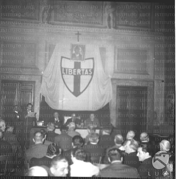 FV/NTH00278/FV00060824.JPG