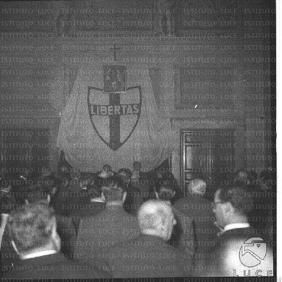 FV/NTH00278/FV00060844.JPG