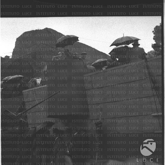 FV/NTH00290/FV00063865.JPG