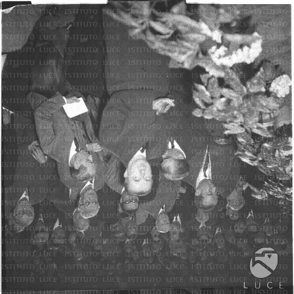 FV/NTH00291/FV00063621.JPG