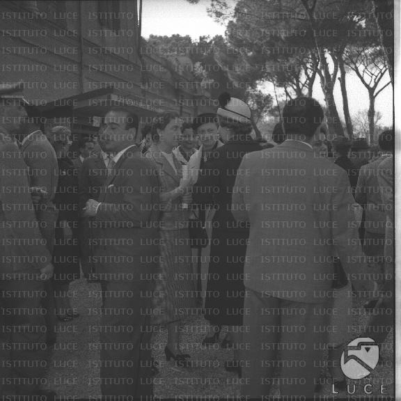 FV/NTH00295/FV00064500.JPG