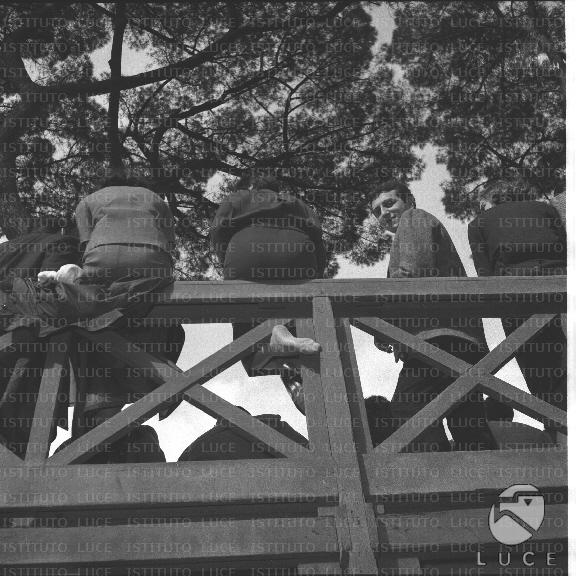 FV/NTH00295/FV00064545.JPG