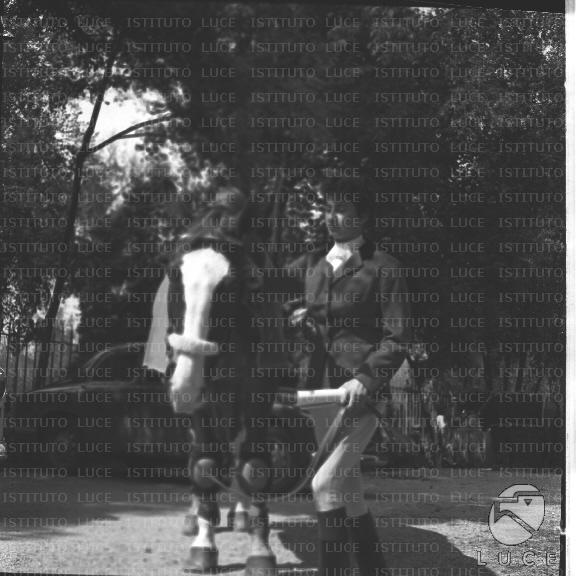 FV/NTH00295/FV00064549.JPG