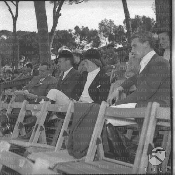 FV/NTH00295/FV00064586.JPG