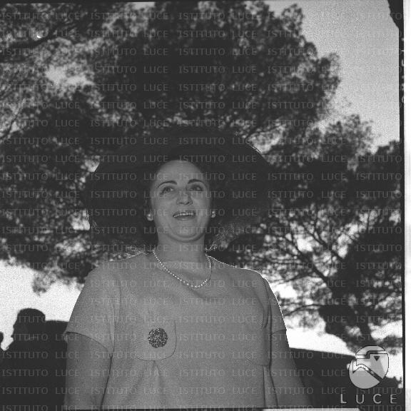 FV/NTH00296/FV00064655.JPG