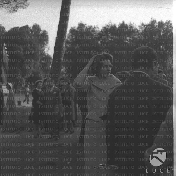 FV/NTH00296/FV00064710.JPG