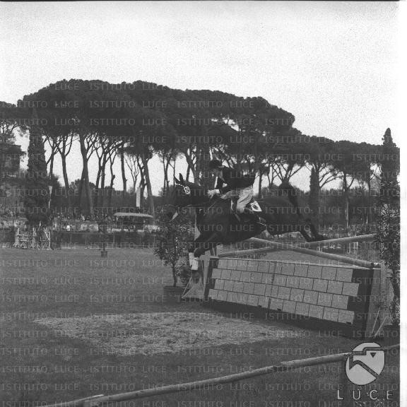 FV/NTH00297/FV00064917.JPG