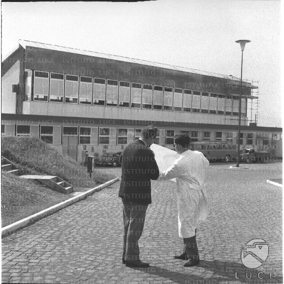 FV/NTH00297/FV00064977.JPG