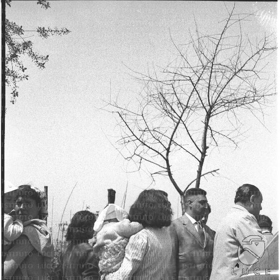 FV/NTH00299/FV00065371.JPG
