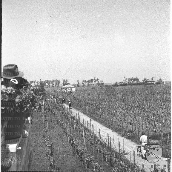 FV/NTH00299/FV00065412.JPG
