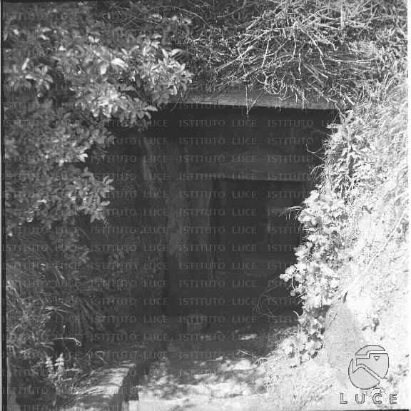 FV/NTH00300/FV00065678.JPG