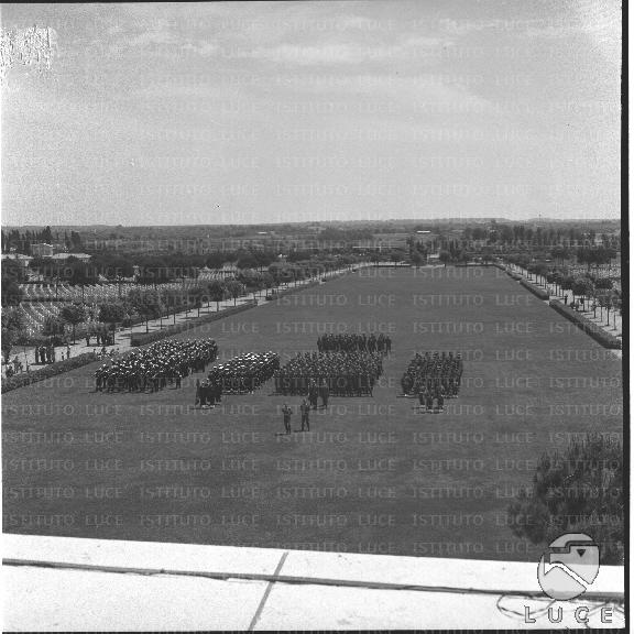 FV/NTH00306/FV00066932.JPG