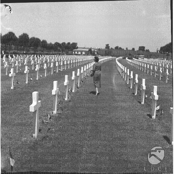 FV/NTH00306/FV00066959.JPG