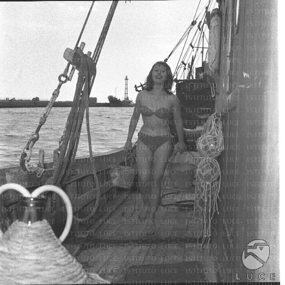 FV/NTH00318/FV00069800.JPG