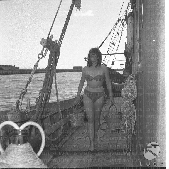 FV/NTH00318/FV00069809.JPG