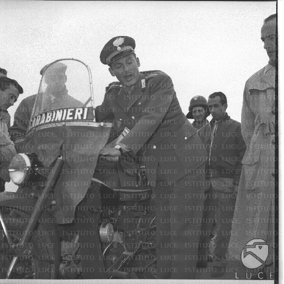 FV/NTH00340/FV00074571.JPG