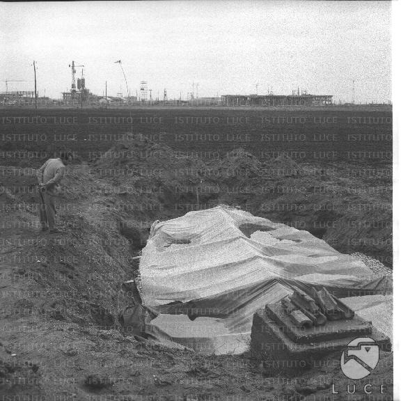 FV/NTH00344/FV00075430.JPG