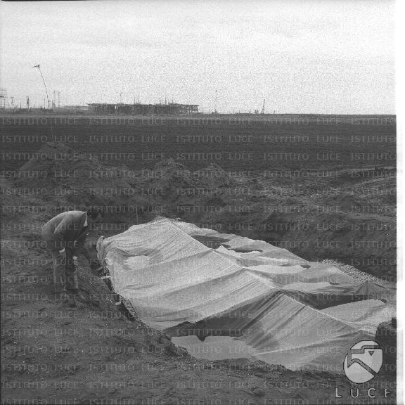 FV/NTH00344/FV00075436.JPG