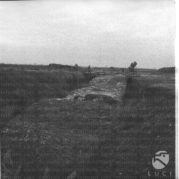 FV/NTH00344/FV00075456.JPG