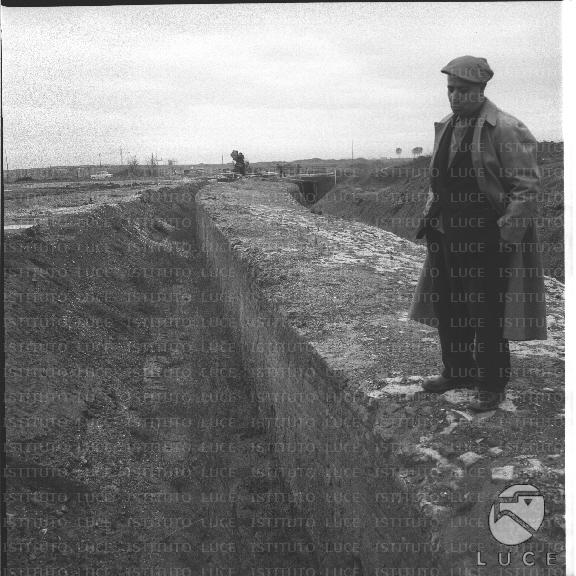 FV/NTH00344/FV00075481.JPG