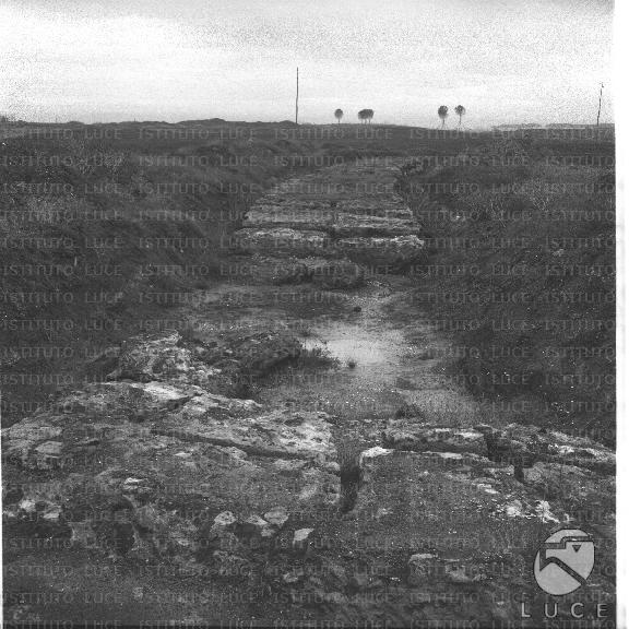FV/NTH00344/FV00075494.JPG FV/NTH00344/FV00075494.JPG