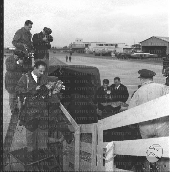 FV/NTH00350/FV00076805.JPG