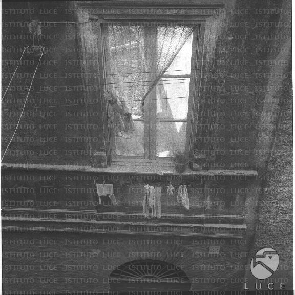 FV/NTH00355/FV00077908.JPG